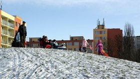 V Praze se radovaly ze sněhu hlavně děti.