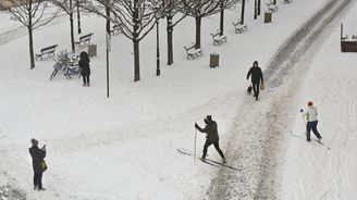 V Čechách napadl sníh a lidé panikaří, umírají na ulicích, rabují a lokálně probíhá i kanibalismus