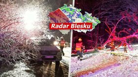 Česko pod přívaly sněhu. Kalamita na silnicích i kolejích v Praze, potíže na D1. Sledujte radar Blesku