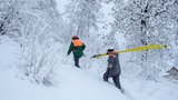 Vítr a těžký sníh lámou stromy. Bez proudu je v Česku 15 tisíc domácností