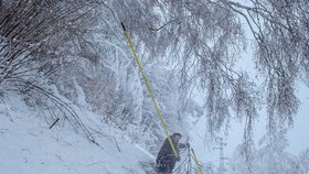 Kvůli sněžení a silnému větru je v Česku bez elektrického proudu přes 11.000 odběratelů. Společnost ČEZ Distribuce k dnešním 11:00 evidovala 25 poruch na vysokém napětí a další poruchy na nízkém napětí, přičemž nejvíce jsou postiženy horské oblasti Libereckého a Královéhradeckého kraje.