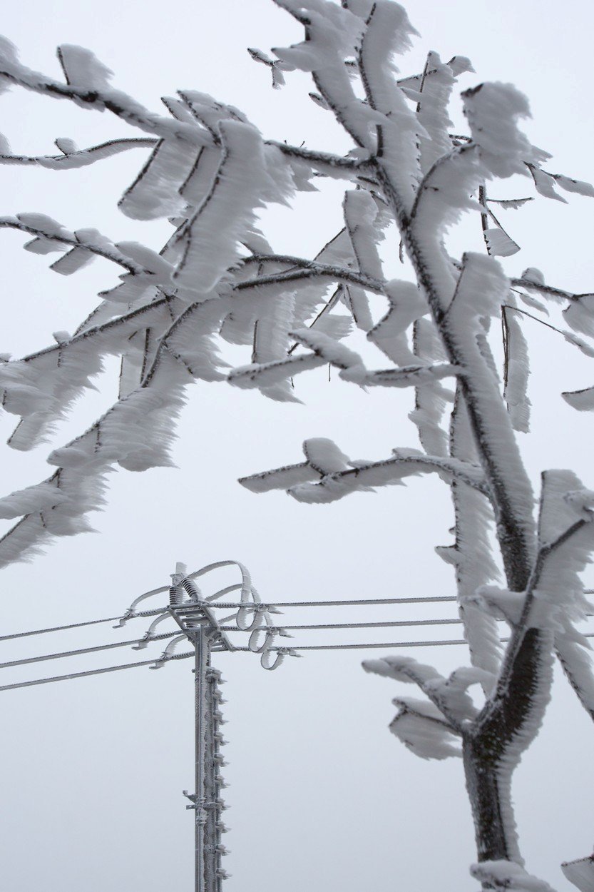 Kvůli sněžení a silnému větru je v Česku bez elektrického proudu přes 11.000 odběratelů. (ilustrační foto)