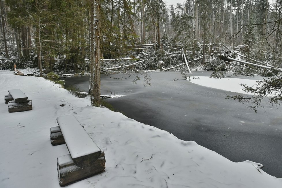 Někde déšť, někde sníh. Takové počasí bude o víkendu v Česku.