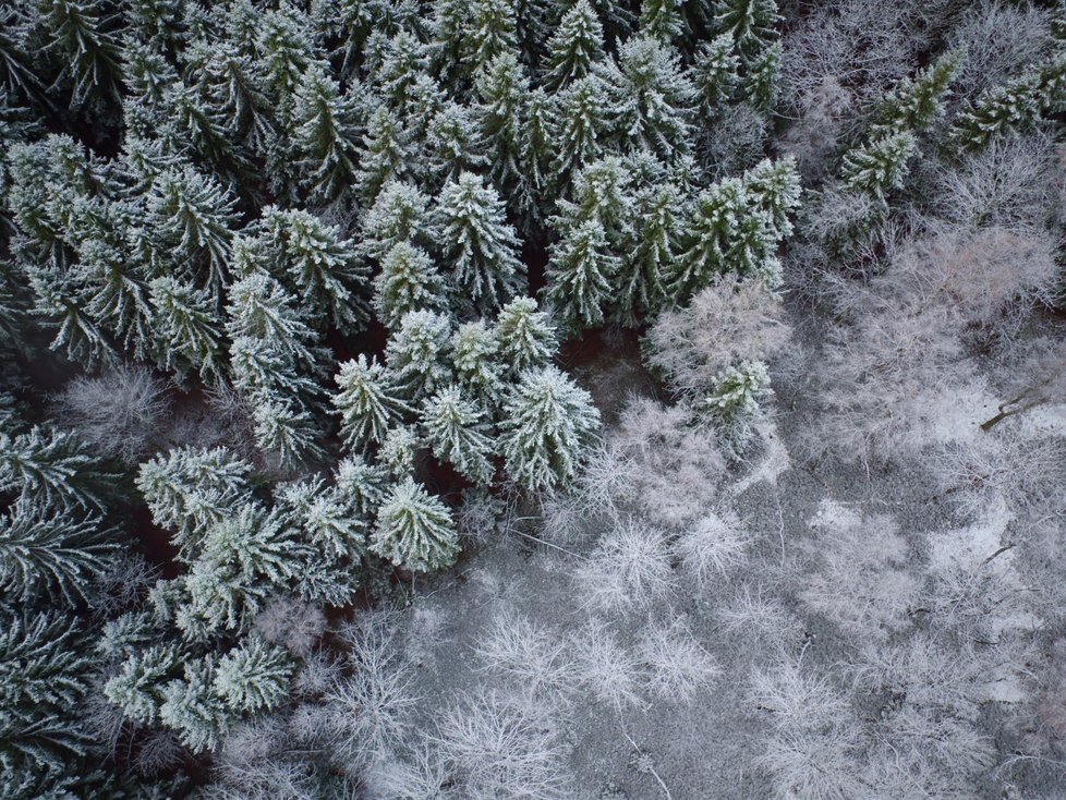 Na některých místech v Česku napadl sníh už na svatého Martina.