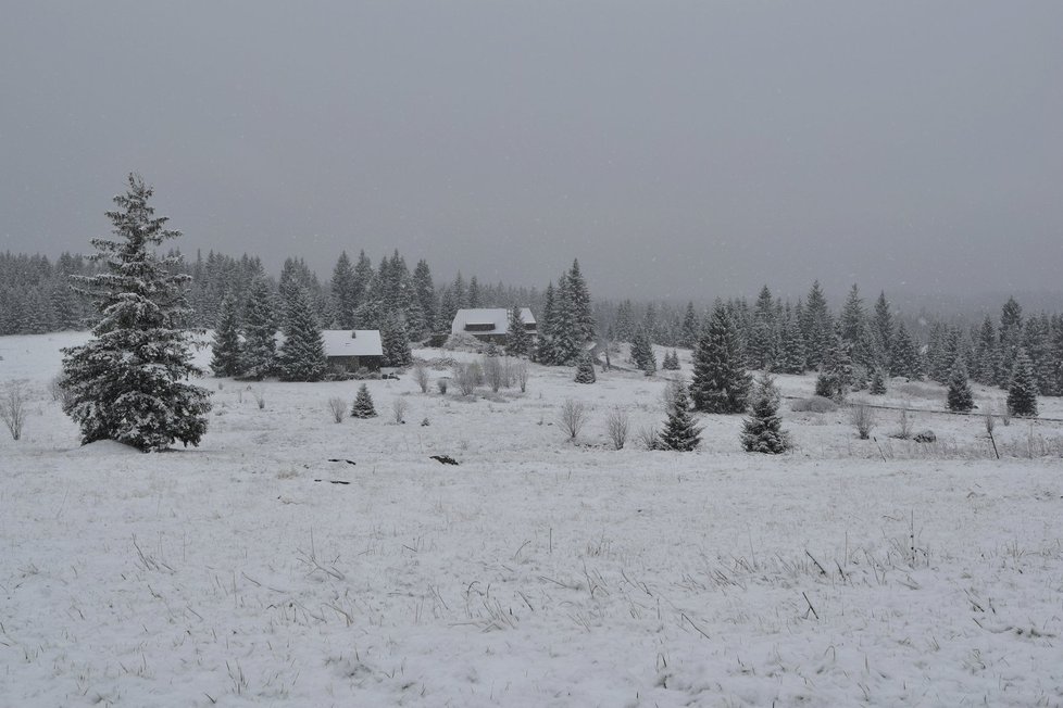 V Modravě na Šumavě během nedělního dopoledne napadlo několik centimetrů sněhu.