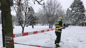 Sněhová kalamita v Praze: Mokrá nadílka láme stromy, park v Průhonicích zavřeli