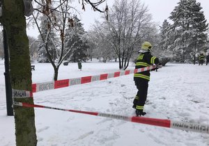 Příval mokrého sněhu zaměstnal profesionální i dobrovolné hasiče na celém území Prahy. Během 24 hodin od neděle 3. února vyjížděli k 51 případům.