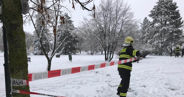 Sněhová kalamita v Praze: Mokrá nadílka láme stromy, park v Průhonicích zavřeli