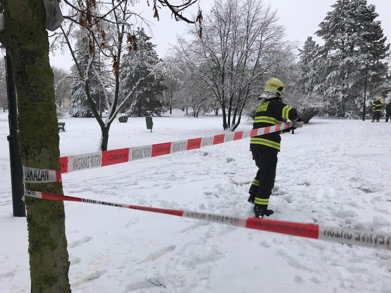 Příval mokrého sněhu zaměstnal profesionální i dobrovolné hasiče na celém území Prahy. Během 24 hodin od neděle 3. února vyjížděli k 51 případům.