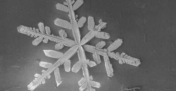 Sníh pod mikroskopem. Prohlédněte si jedinečné tvary sněhových vloček