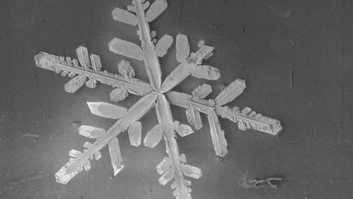 Sněhové vločky pod mikroskopem.