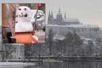 V polovině listopadu by měl do Prahy dorazit první sníh.