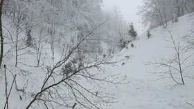 Horská služba zachraňuje život snowboardisty Pauloviče. Marně.