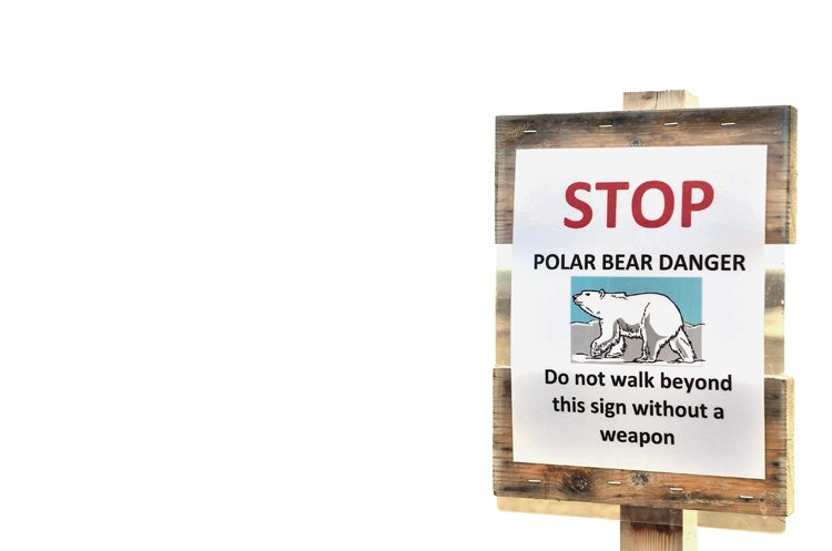 Kvůli ledním medvědům (ačkoli je zákon chrání) s sebou do některých oblastí Špicberk musíte povinně nosit pušku