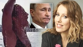 Putinova kmotřenka ukázala vnady a předvedla sexy pózy na jachtě