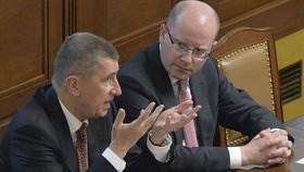 Premiér Bohuslav Sobotka a vicepremiér Andrej Babiš