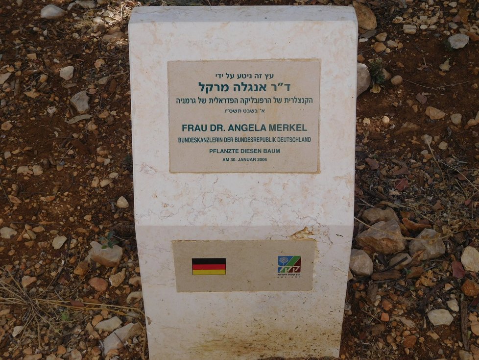 Své stromy mají v Jeruzalémě i Václav Klaus a Angela Merkelová.