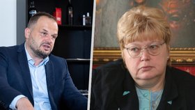 Není ČSSD jako ČSSD: Sociální demokraté se kvůli registraci značky pro eurovolby obrátili na soud