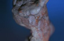 Experti zjišťují autorství sochy: Má na zadku otisk prstu Michelangela?