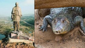 Zatím nejvyšší socha světa představuje Inda Patéla. A jsou kolem ní krokodýlové.