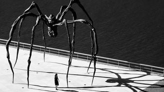Sochařka uctila mámu: vystavuje po světě obřího pavouka