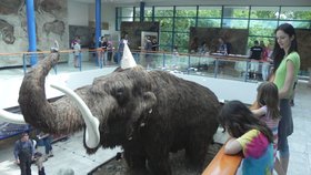 Mamut slaví 90.narozeniny. Záhada jedné z beden v jeho útrobách zůstala neobjaněna.