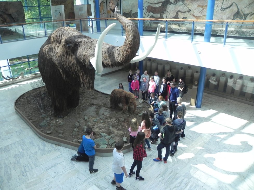 Model mamuta č. 2 z 60. let je i po více než půlstoletí největším návštěvnickým hitem Pavilonu Anthropos.