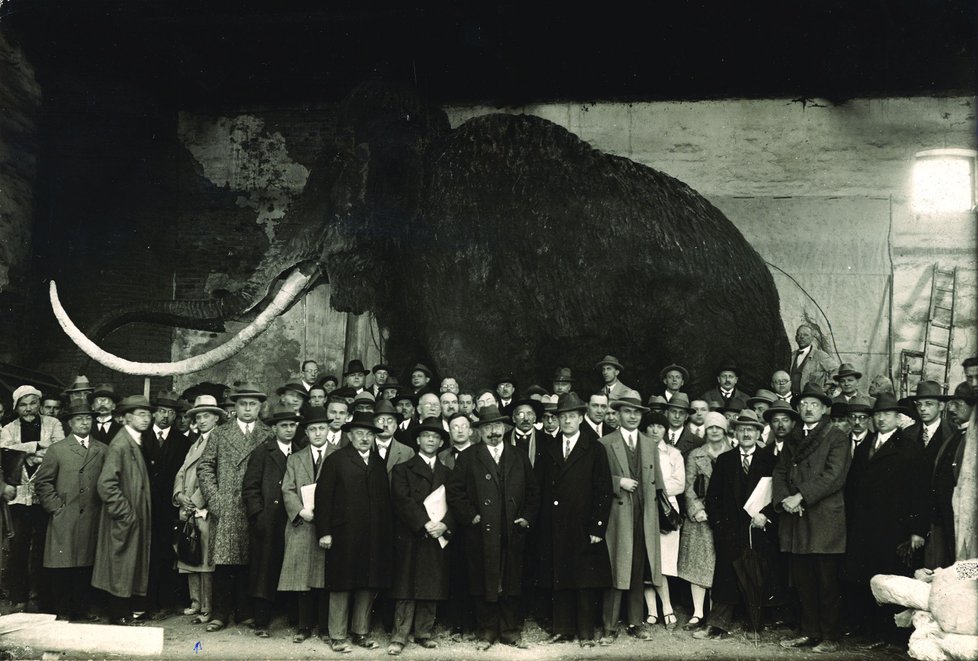 Hotovo. 1. května 1928 se mamut představil veřejnosti. Denně navštívilo výstavu na brněnském výstavišti na pět tisíc osob.