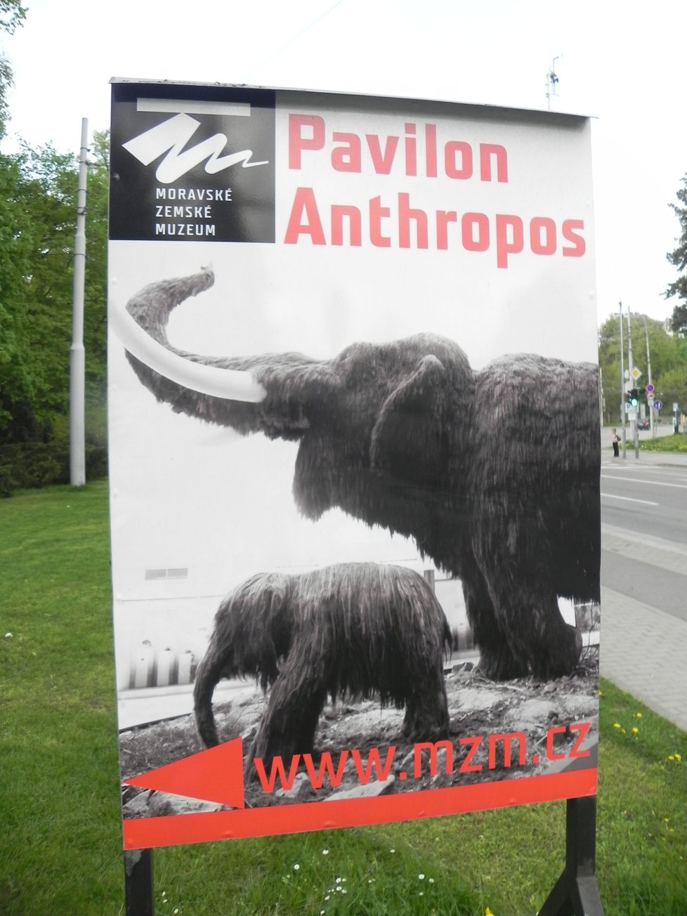 Oslavy 90. narozenin mamuta v Pavilonu Anthropos vypuknou na 1. máje.
