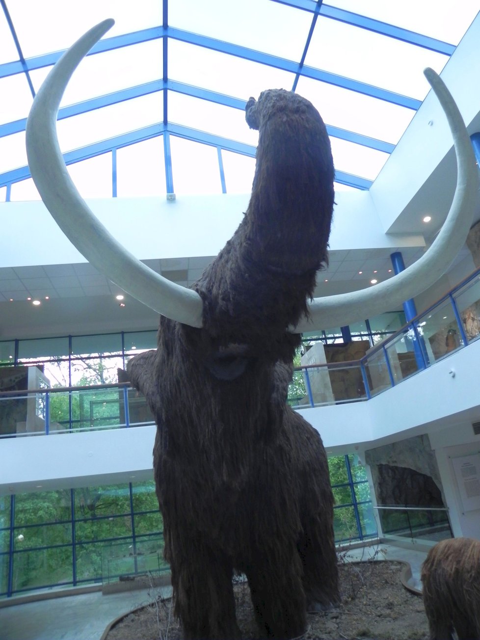 Fenomén brněnského mamuta trvá už 90 let.