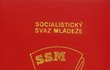 Socialistický svaz mládeže (SSM) byla komunisty řízená organizace, která sdružovala mladé lidi ve věku 15 až 35 let.