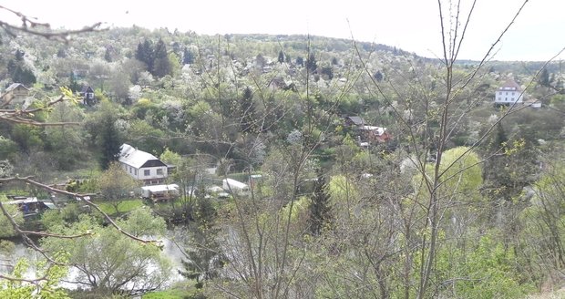 Největší brněnský park nese od 17. listopadu jméno válečného hrdiny Richarda Hapaly. Ilustrační foto.