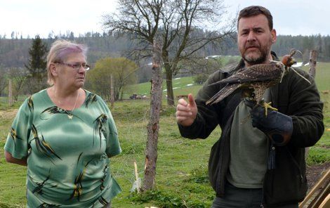 Chovatelce slepic Karle Hrdličkové vděčí sokolník za to, že dravce nezranila a přivolala odborníky.