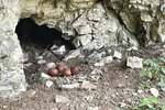 Fotopast u Jeskyně Jáchymka odhalila v sokolím hnízdě čtyři vejce.