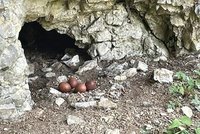 Sokoli v Moravském krasu čekají potomky: Ochranáři uzavřeli jeskyni Jáchymka