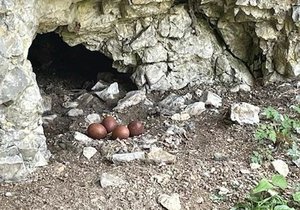 Fotopast u Jeskyně Jáchymka odhalila v sokolím hnízdě čtyři vejce.