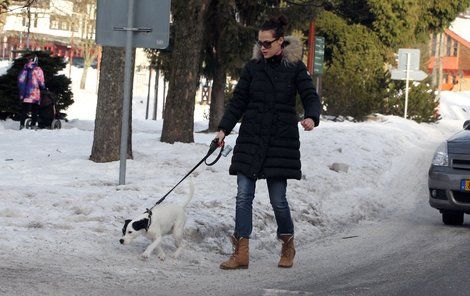 Richie je Katčin miláček, kvůli kterému klidně ráno vstane brzy a venčí ho v té největší zimě.