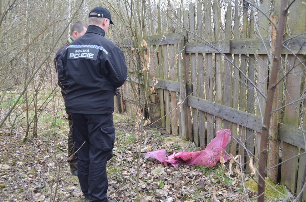 Za plotem navíc ležel mrtvý pes zabalený do igelitu