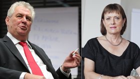 Zatímco prezident Zeman udělal první veto pro úlevy solárníkům, šéfka energetického úřadu Vitásková čelí obvinění, že jim napomáhala