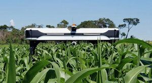 Obilí ohlídá robot: Automatizace zemědělství se blíží
