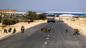 Somaliland: Tři dny v zemi, kterou většina světa neuznává jako samostatnou Somaliland: Tři dny v zemi, kterou většina světa neuznává jako samostatnou