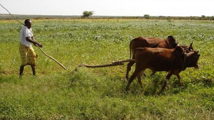 Somálsko letos zažilo nejhorší sucho za 60 let.