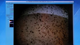 Americká sonda InSight úspěšně přistála na Marsu