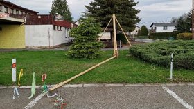 V obci Šonov na Náchodsku někdo porazil májku.