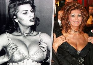 Sophia Loren