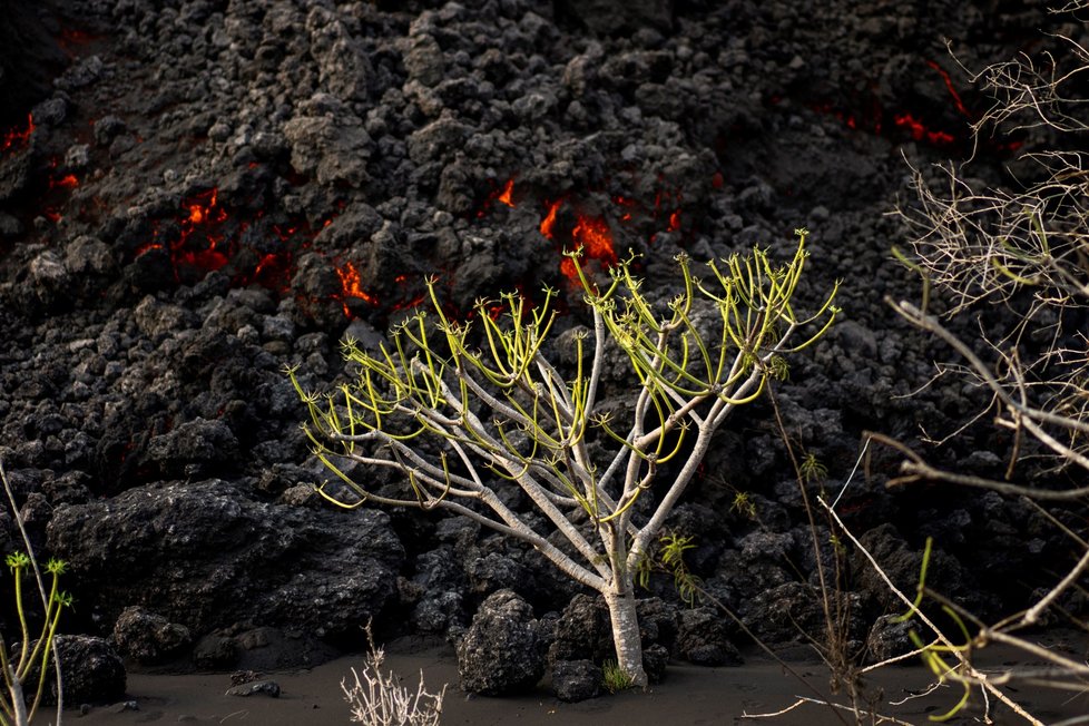 Pokračující soptění vulkánu na ostrově La Palma