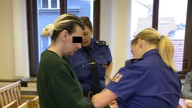 Chtěla zabít makléřku, najala si „vraha od Jonáka“: Ten to prásknul policii! Jen hra, hájí se u soudu