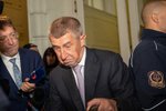 Andrej Babiš u soudu kvůli Čapímu hnízdu