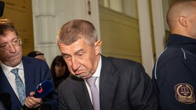 Andrej Babiš u soudu kvůli Čapímu hnízdu