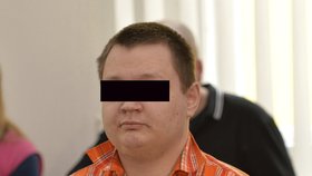 Pražský městský soud začal 16. března projednávat kauzu Jana Mokrého, kterého obžaloba viní ze dvou pokusů o vraždu bezdomovců. Hrozí mu výjimečný trest
